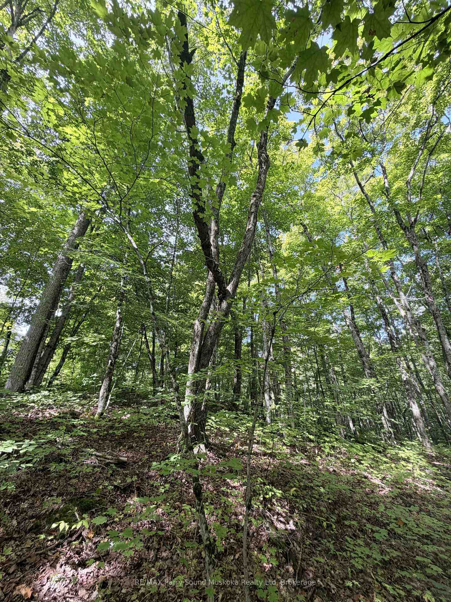 Photo 10 of 0-150 Tait's Island Road, McKellar — HOMEH
