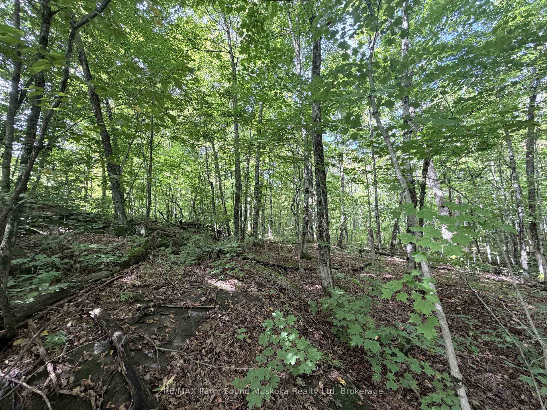 Photo 11 of 0-150 Tait's Island Road, McKellar — HOMEH
