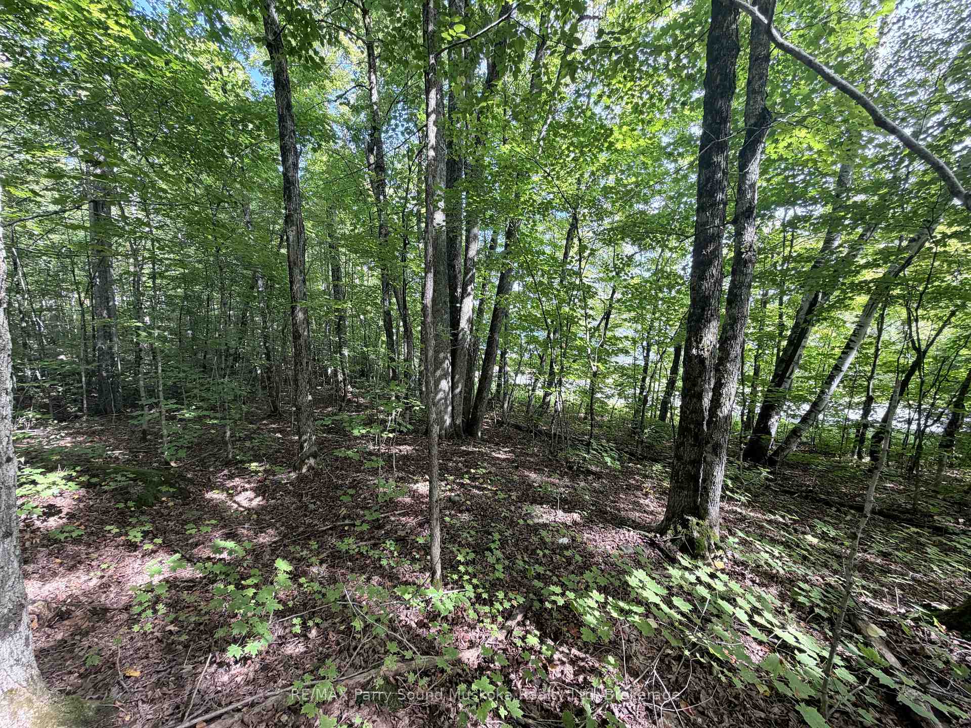 Photo 12 of 0-150 Tait's Island Road, McKellar — HOMEH