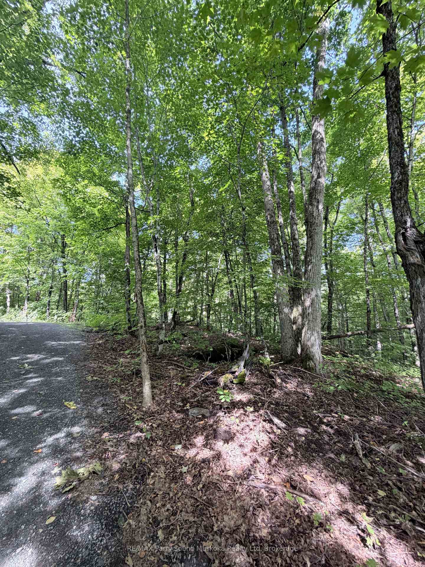 Photo 13 of 0-150 Tait's Island Road, McKellar — HOMEH
