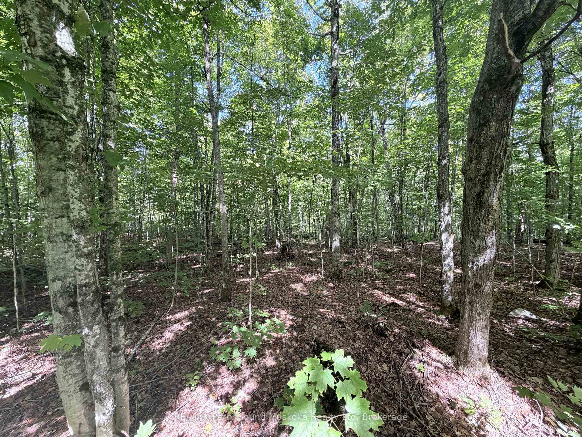 Photo 14 of 0-150 Tait's Island Road, McKellar — HOMEH