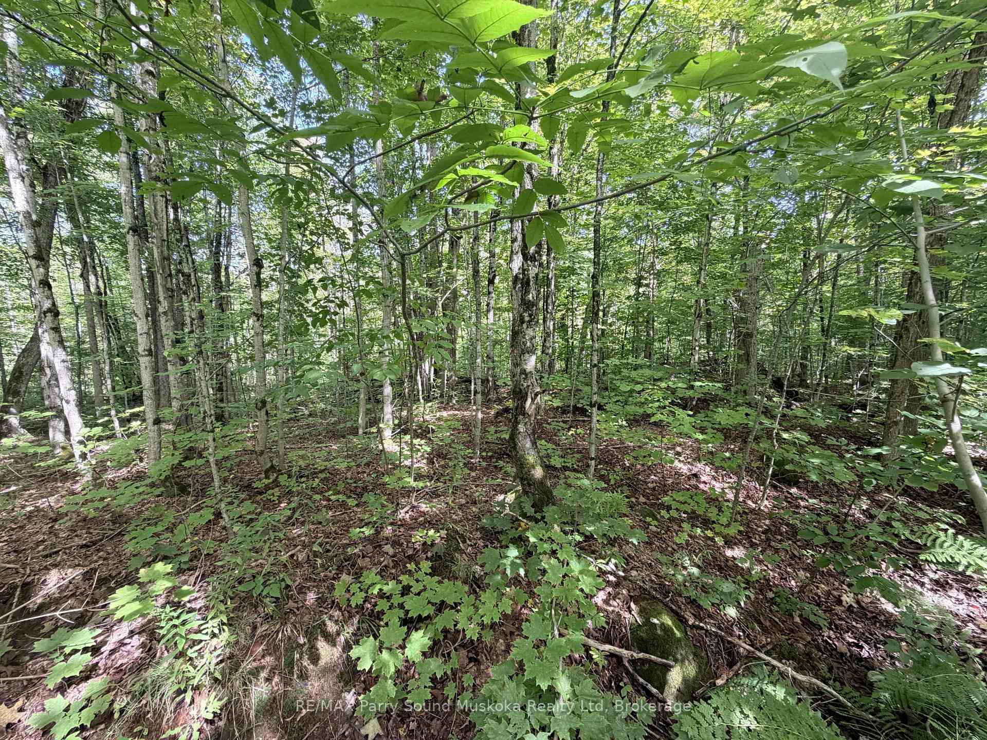 Photo 15 of 0-150 Tait's Island Road, McKellar — HOMEH