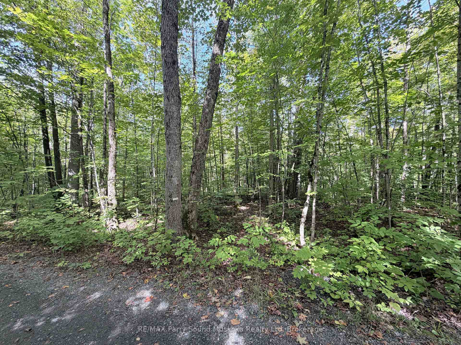 Photo 16 of 0-150 Tait's Island Road, McKellar — HOMEH