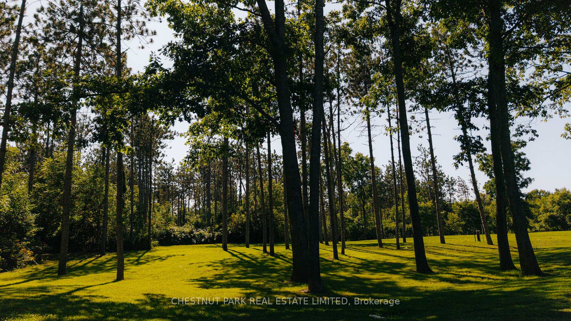 Photo 49 of 836059 4th Line E, Mulmur, Rural Mulmur — HOMEH
