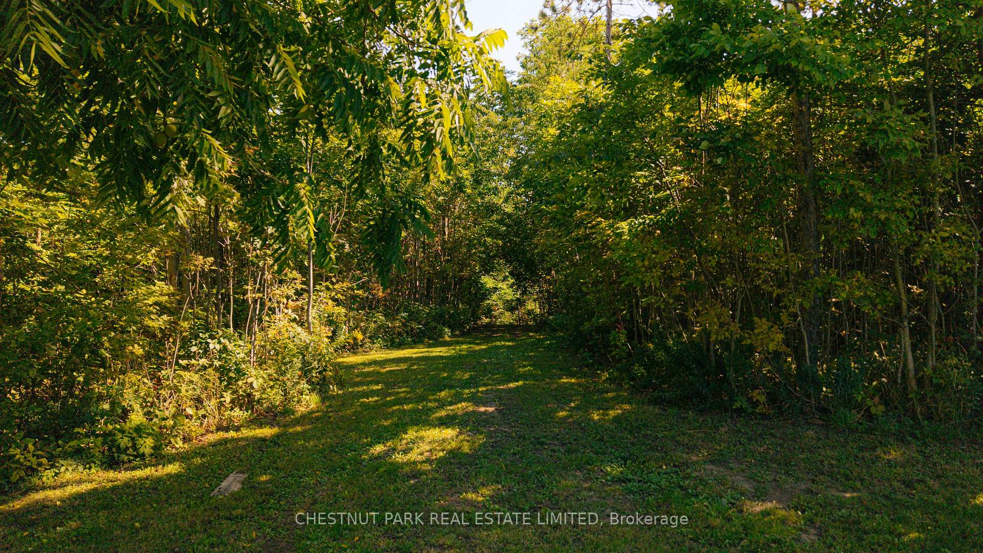 Photo 50 of 836059 4th Line E, Mulmur, Rural Mulmur — HOMEH