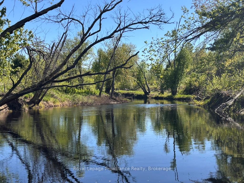 Photo 50 of 39B Varty Road, Tweed, Elzevir (Twp) — HOMEH