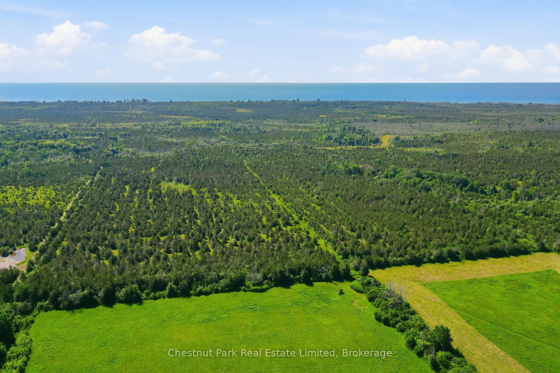 Photo 21 of 2560 County Road 13, Prince Edward County, South Marysburg Ward — HOMEH