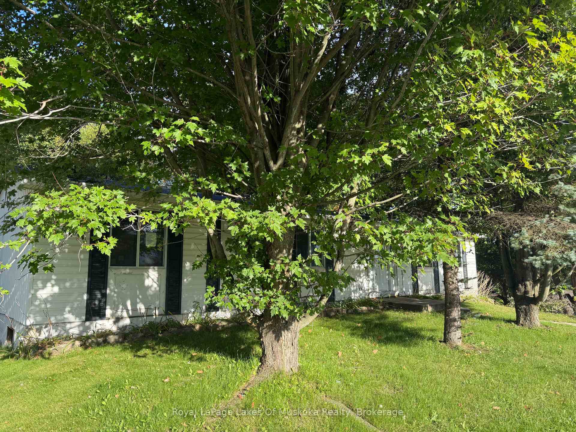 Photo 5 of 3 Wellington Street, Bracebridge — HOMEH