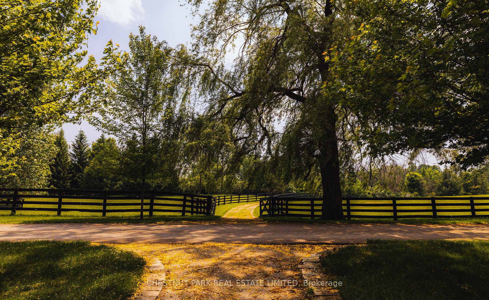 Photo 41 of 13570 7th Concession Road, King, Rural King — HOMEH