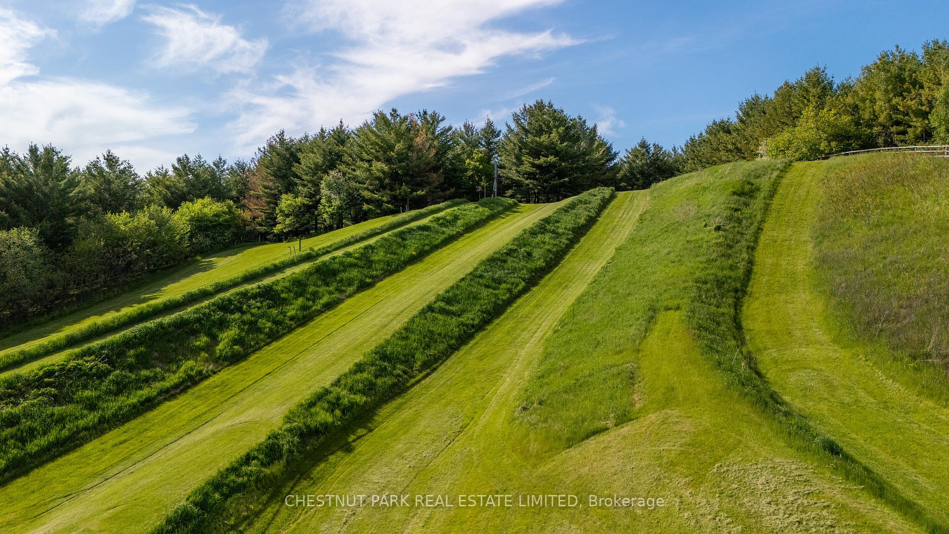 Photo 50 of 13570 7th Concession Road, King, Rural King — HOMEH