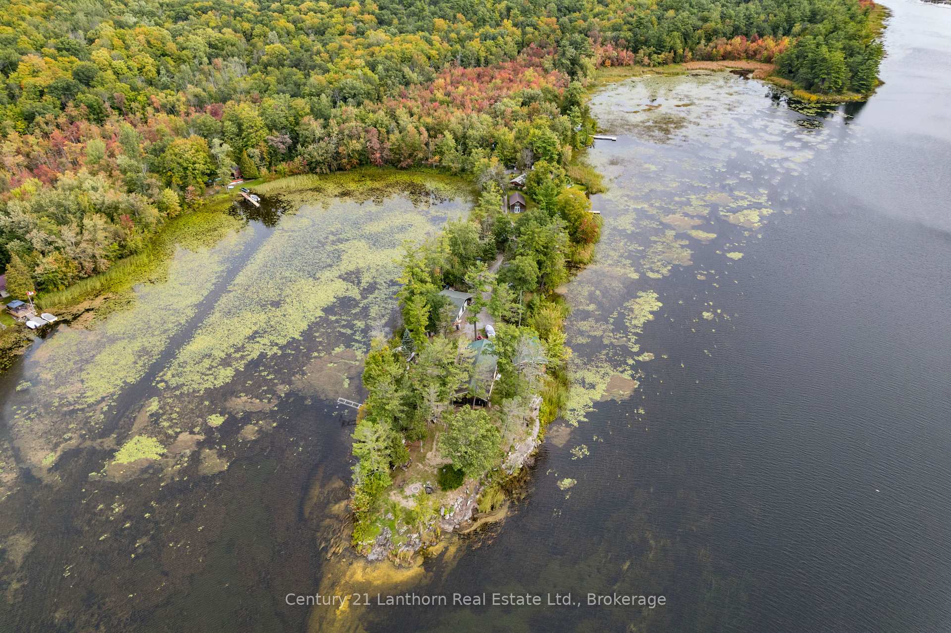 Photo 10 of 175 Donaldson Lane, Centre Hastings — HOMEH
