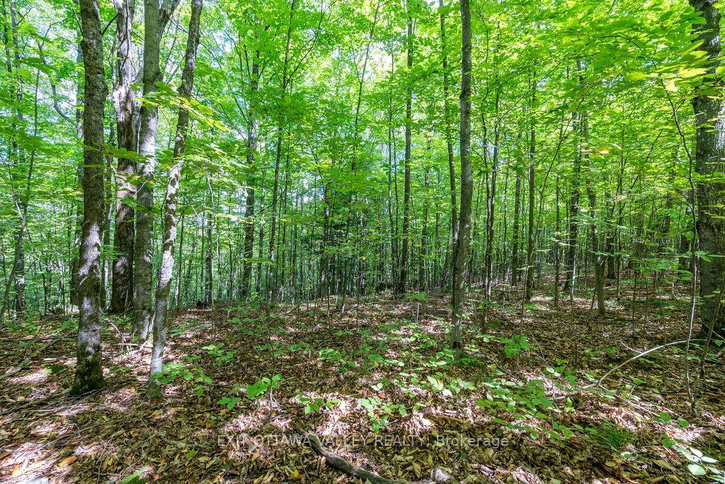 Photo 34 of 00 Opeongo Road, Bonnechere Valley, Eganville/Bonnechere Twp — HOMEH