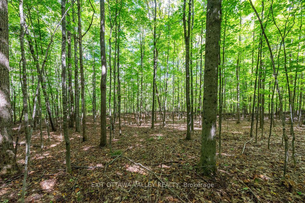 Photo 37 of 00 Opeongo Road, Bonnechere Valley, Eganville/Bonnechere Twp — HOMEH