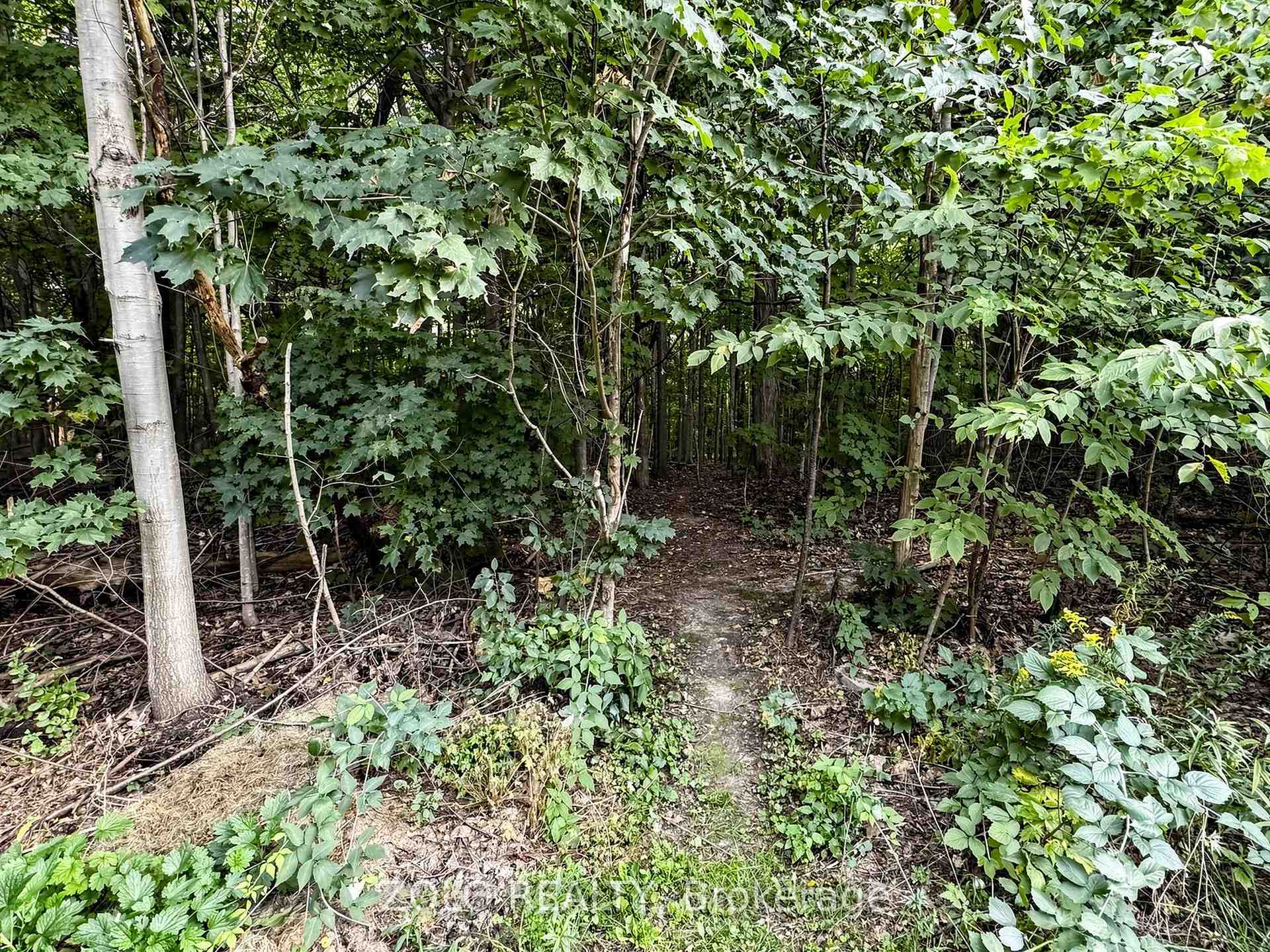 Photo 44 of 247 Summeridge Drive, Vaughan, Patterson — HOMEH