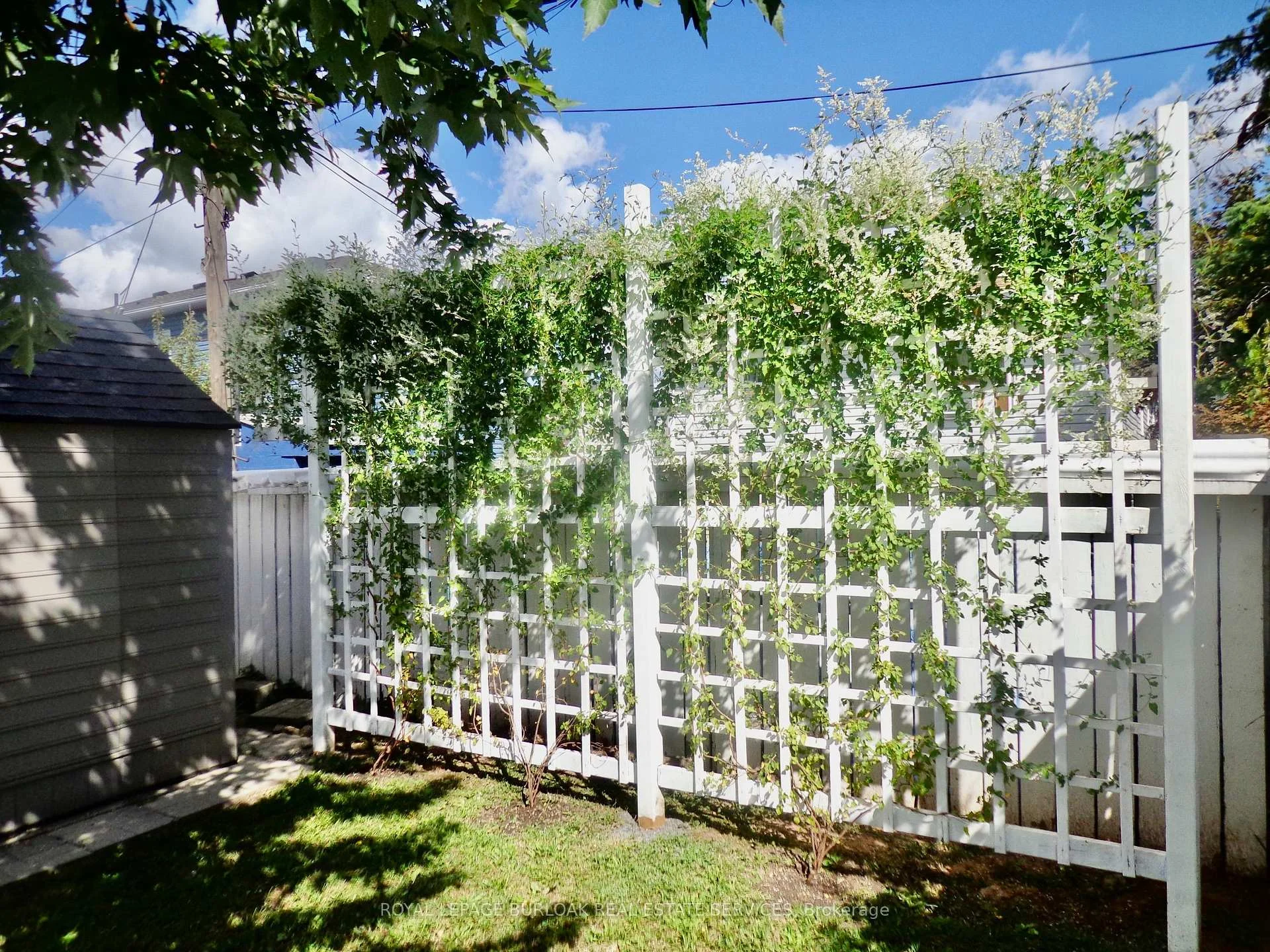 Photo 79 of 57 Harrison Avenue, Hamilton, Homeside — HOMEH