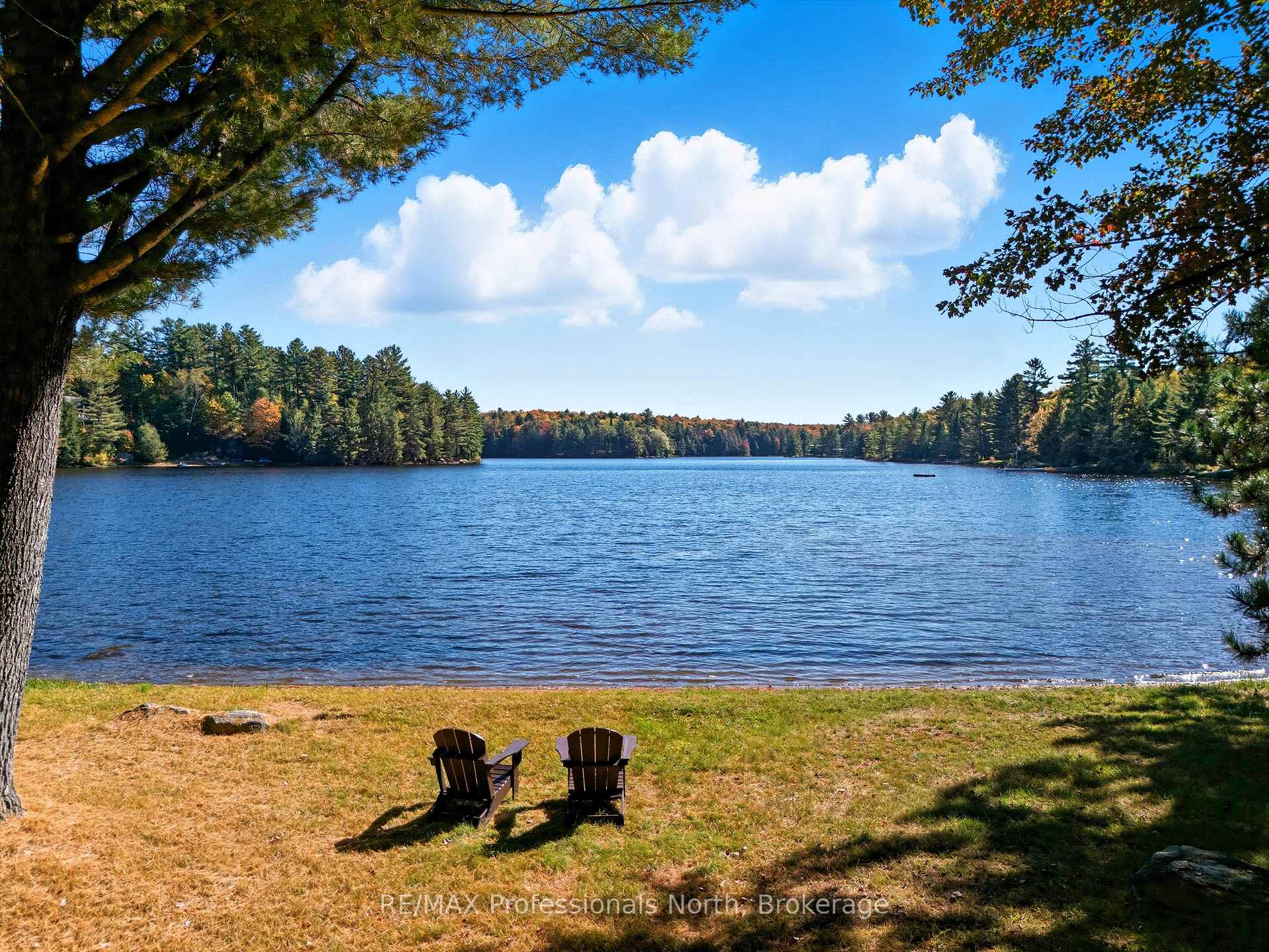 Photo of 293 Otter Lake Road