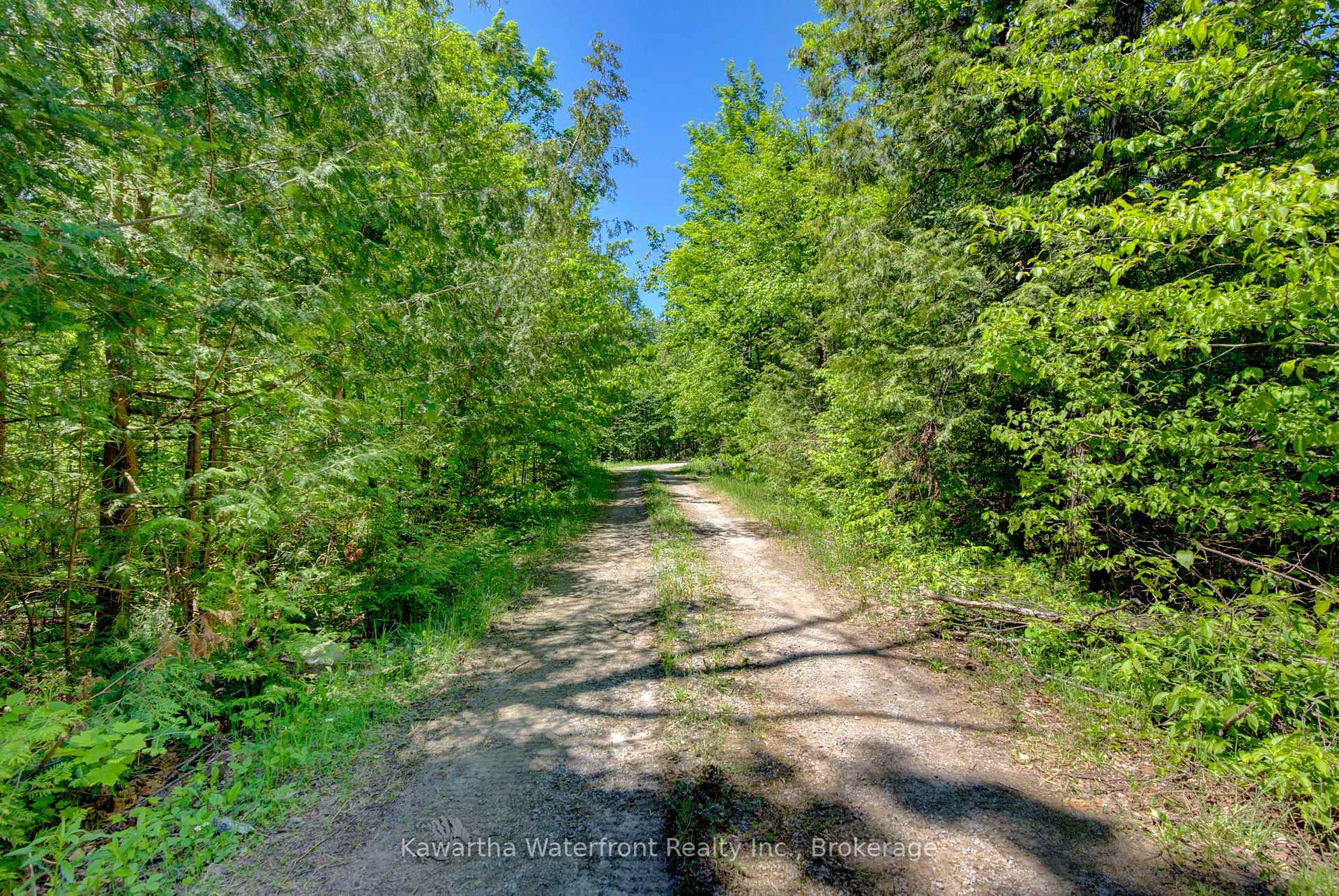 Photo 10 of 75 Beaver Drive, Kawartha Lakes, Somerville — HOMEH