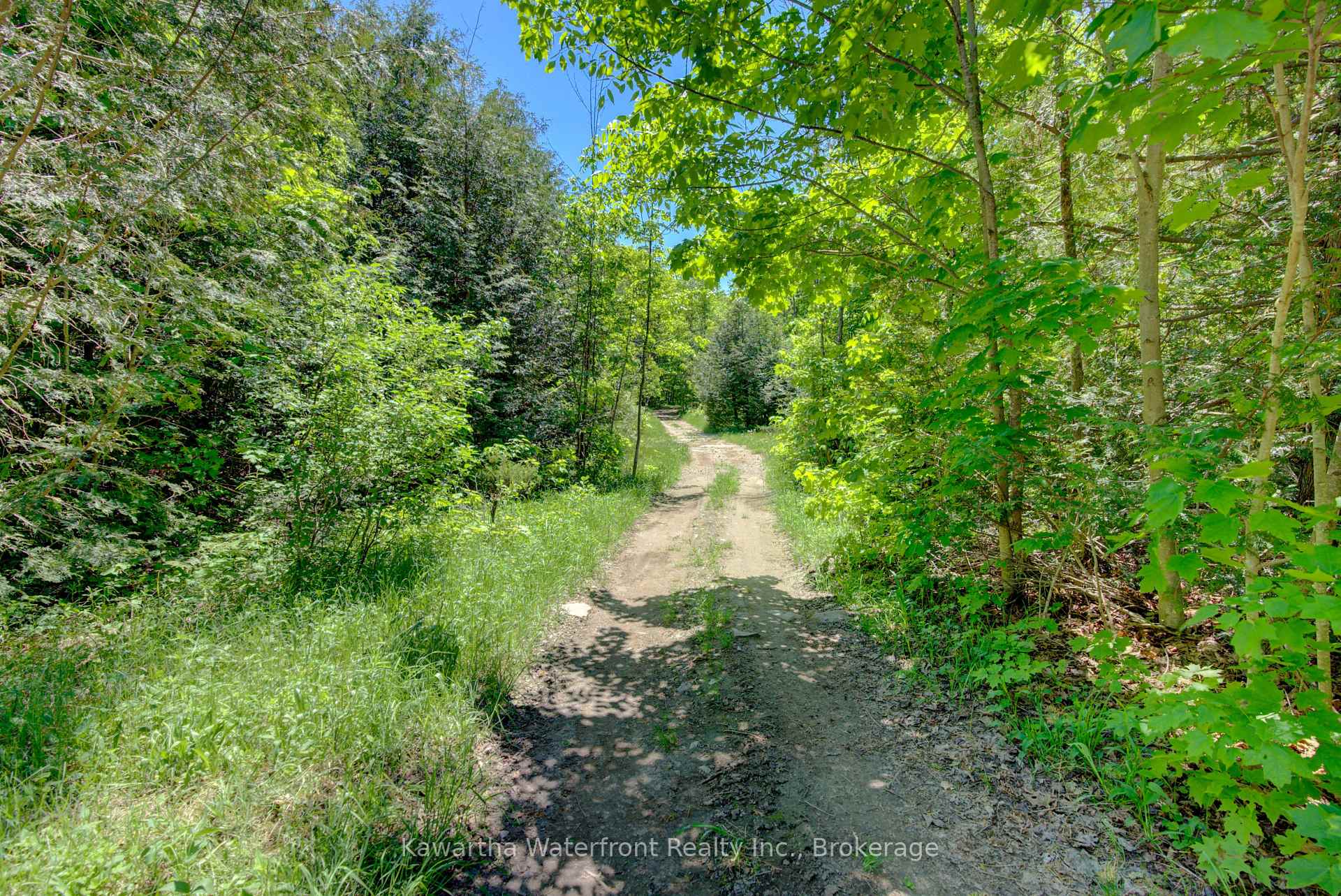 Photo 12 of 75 Beaver Drive, Kawartha Lakes, Somerville — HOMEH