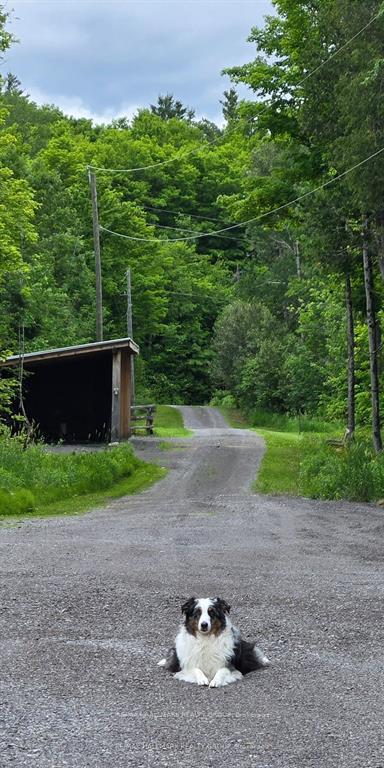 Photo 15 of 466 Stewartville Road, McNab/Braeside, Mcnab/Braeside Twps — HOMEH