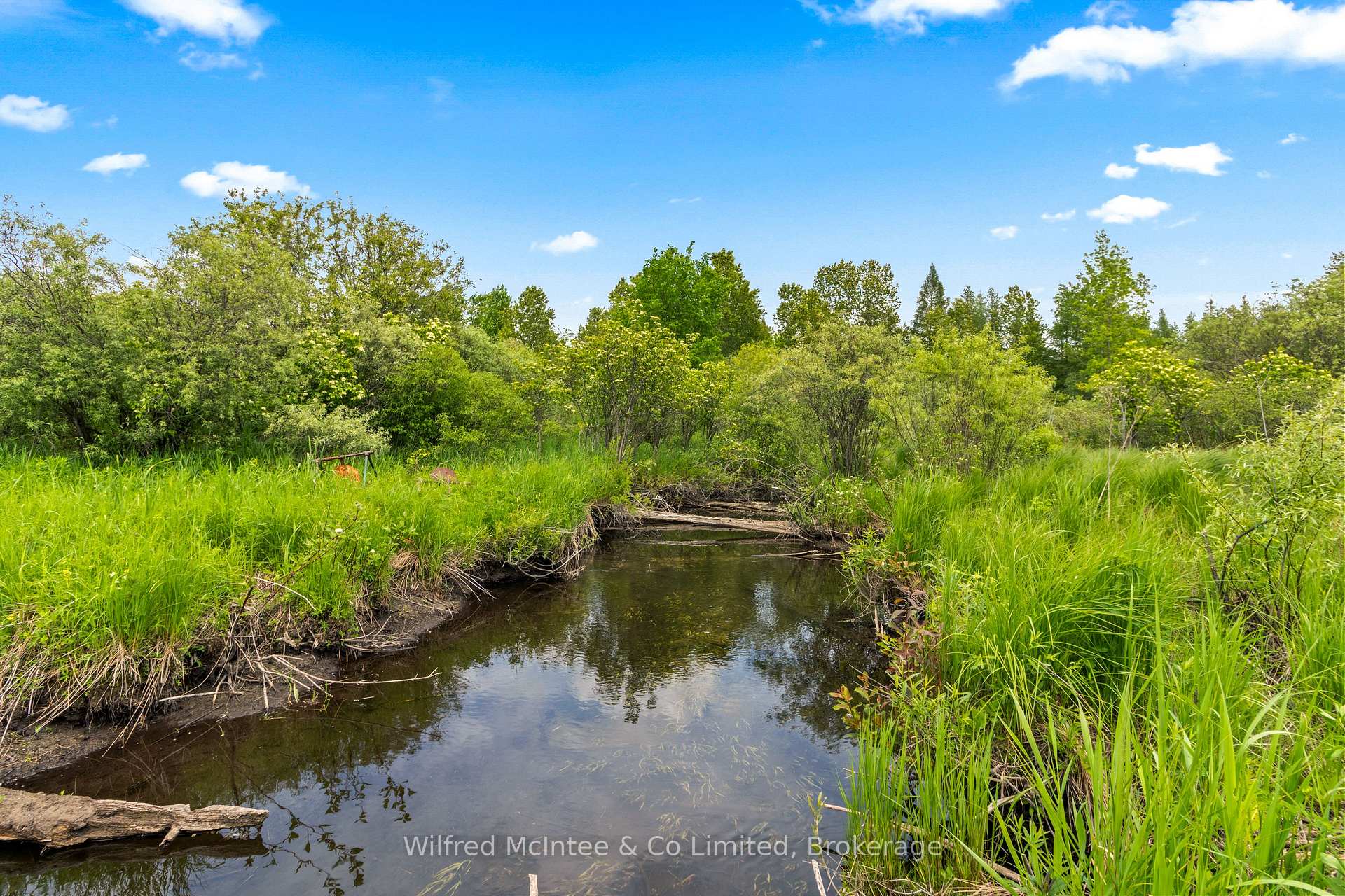 Photo 37 of 541503 Concession 14 Ndr, West Grey — HOMEH