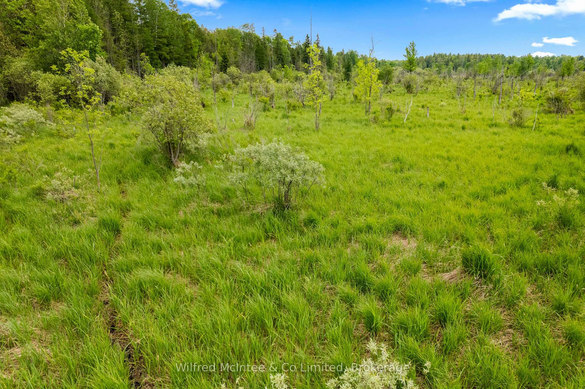 Photo 41 of 541503 Concession 14 Ndr, West Grey — HOMEH