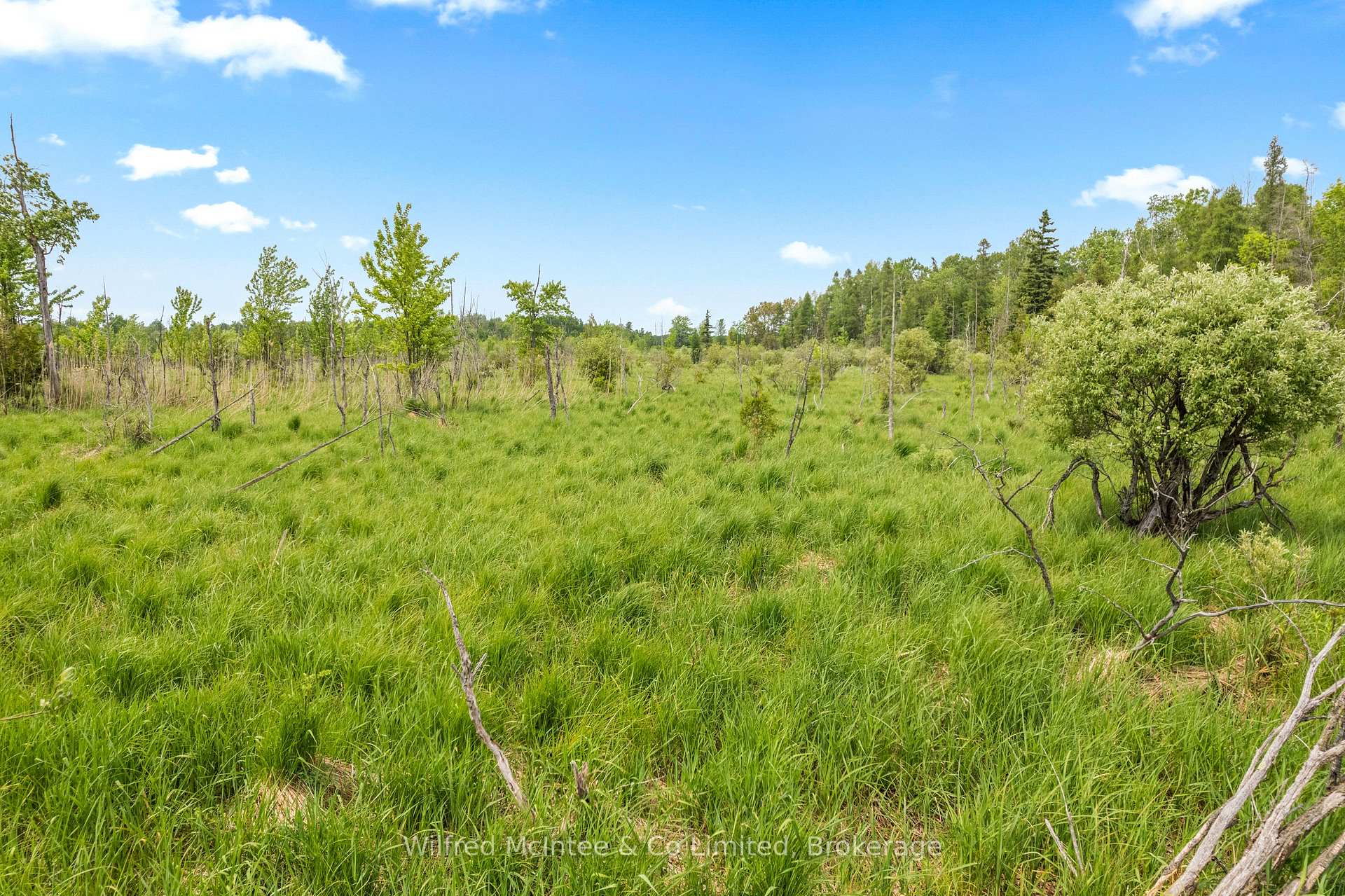 Photo 42 of 541503 Concession 14 Ndr, West Grey — HOMEH