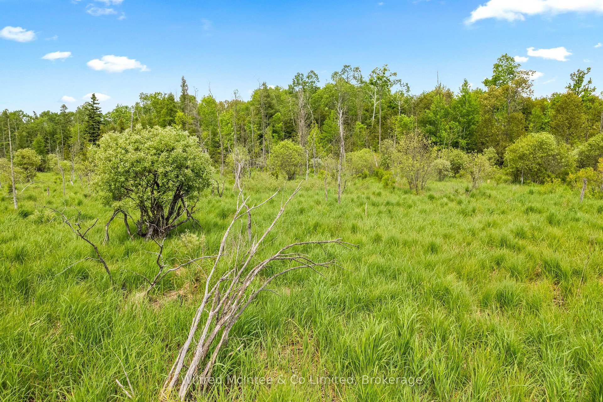 Photo 43 of 541503 Concession 14 Ndr, West Grey — HOMEH