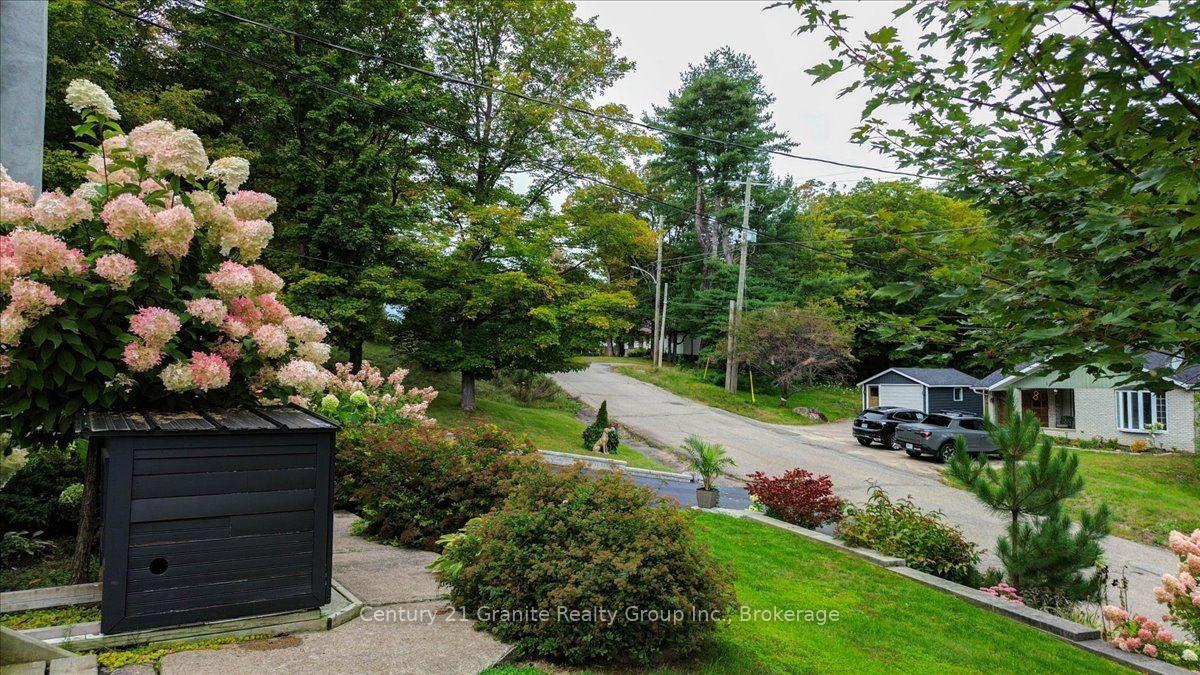 Photo 44 of 5 Forest Hill Road, Bancroft, Bancroft Ward — HOMEH