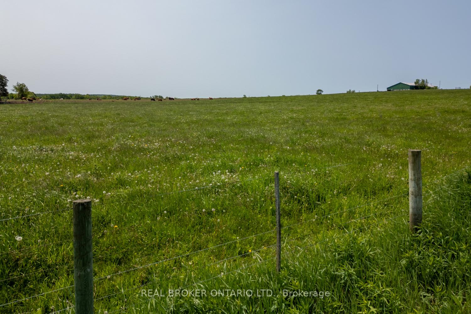 Photo 7 of PT LT 22 Con 3 Cavan Pt 1, Cavan Monaghan, Cavan Twp — HOMEH