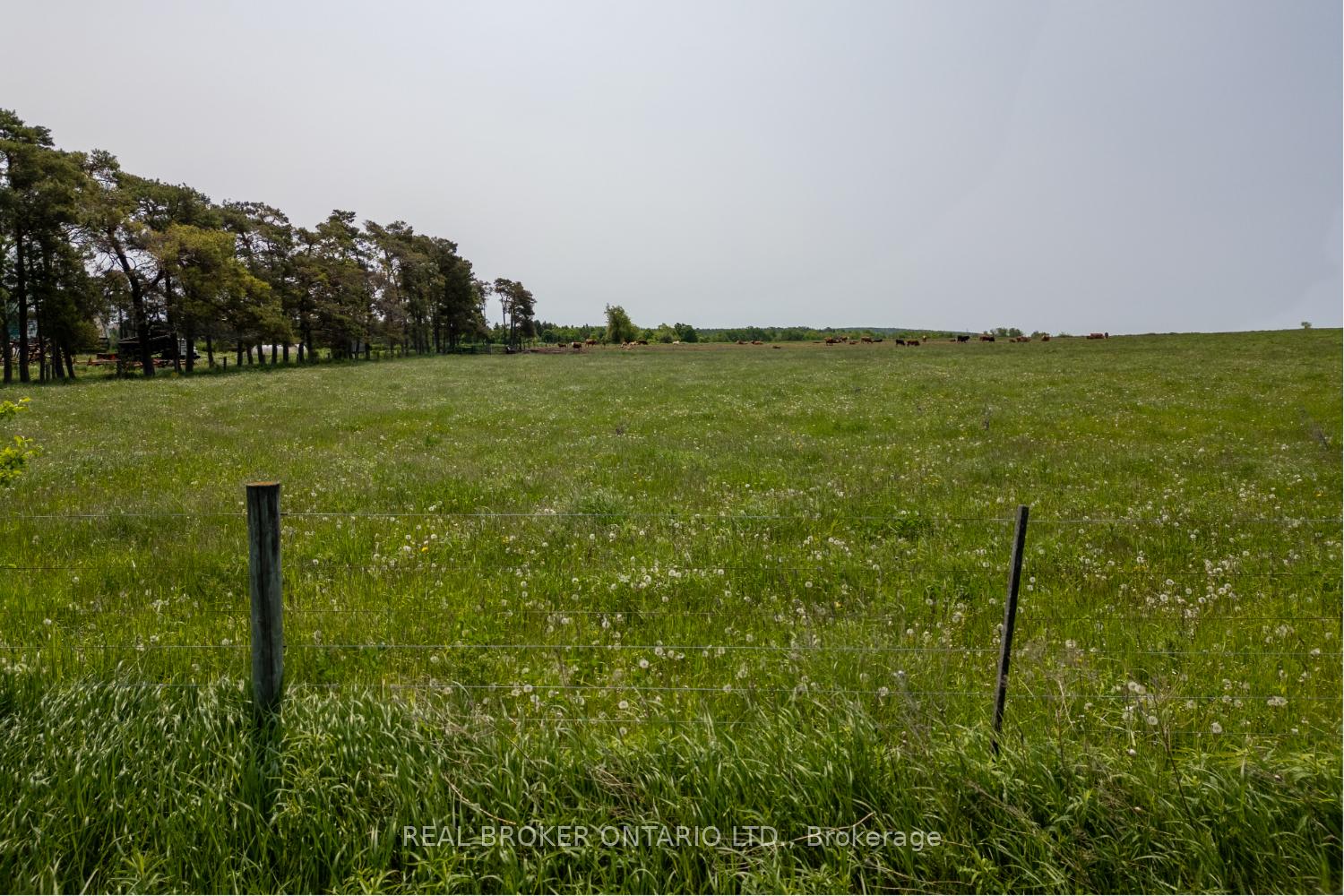 Photo 11 of PT LT 22 Con 3 Cavan Pt 1, Cavan Monaghan, Cavan Twp — HOMEH