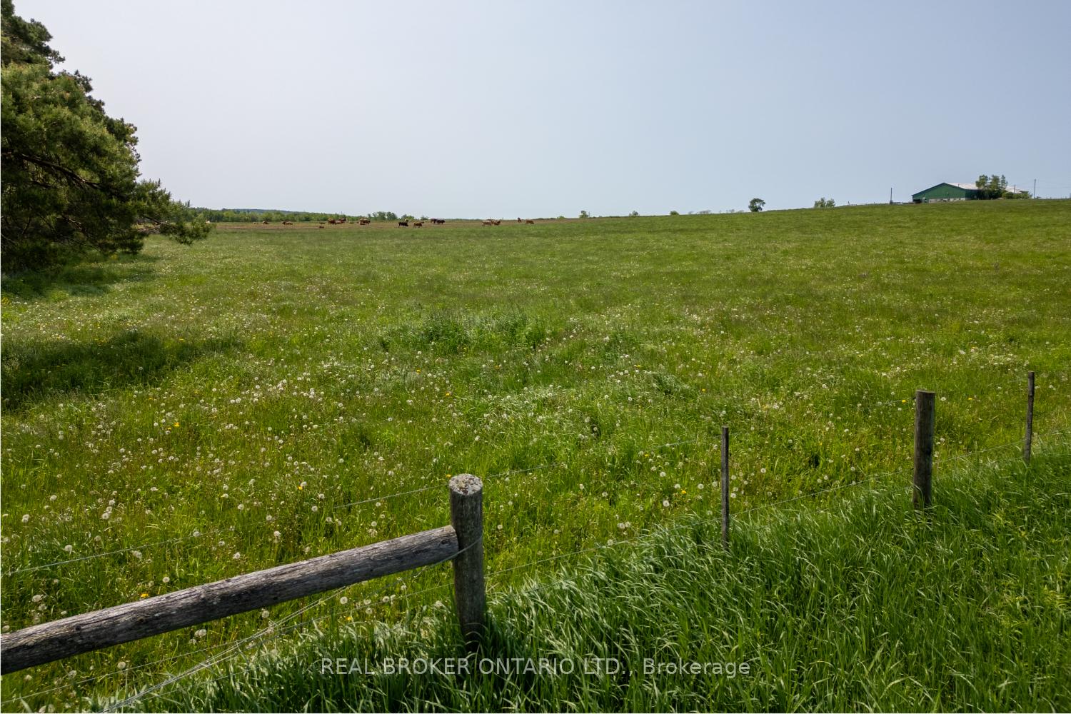 Photo 10 of PT LT 22 Con 3 Cavan Pt 1, Cavan Monaghan, Cavan Twp — HOMEH