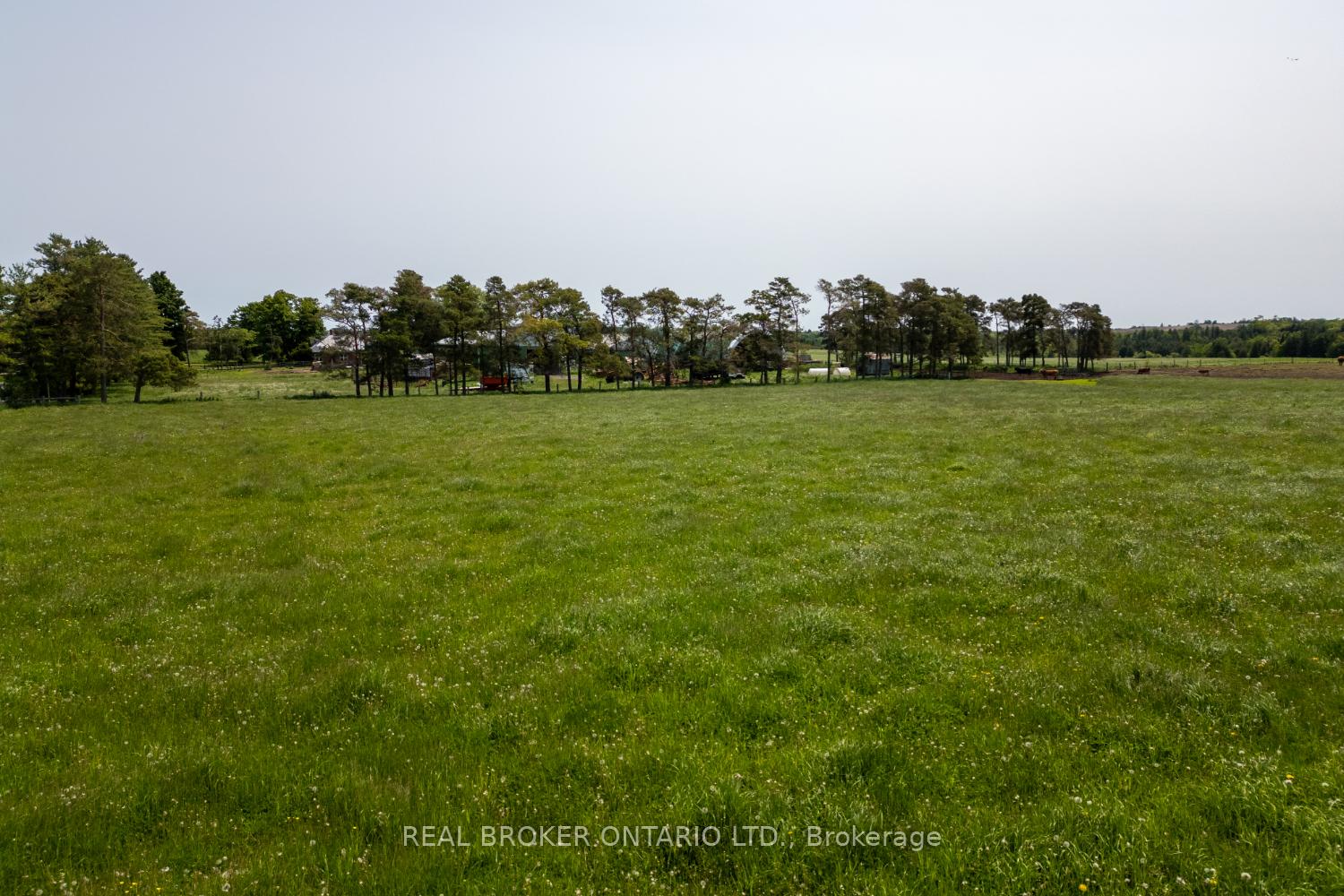 Photo 13 of PT LT 22 Con 3 Cavan Pt 1, Cavan Monaghan, Cavan Twp — HOMEH