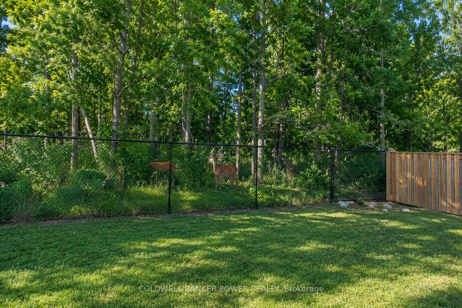 Photo 43 of 2202 Tripp Drive, London, South V — HOMEH