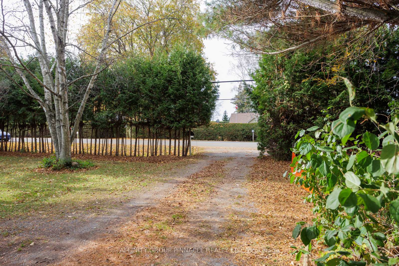 Photo 4 of 81 Cedar Beach Road, Brock, Beaverton — HOMEH
