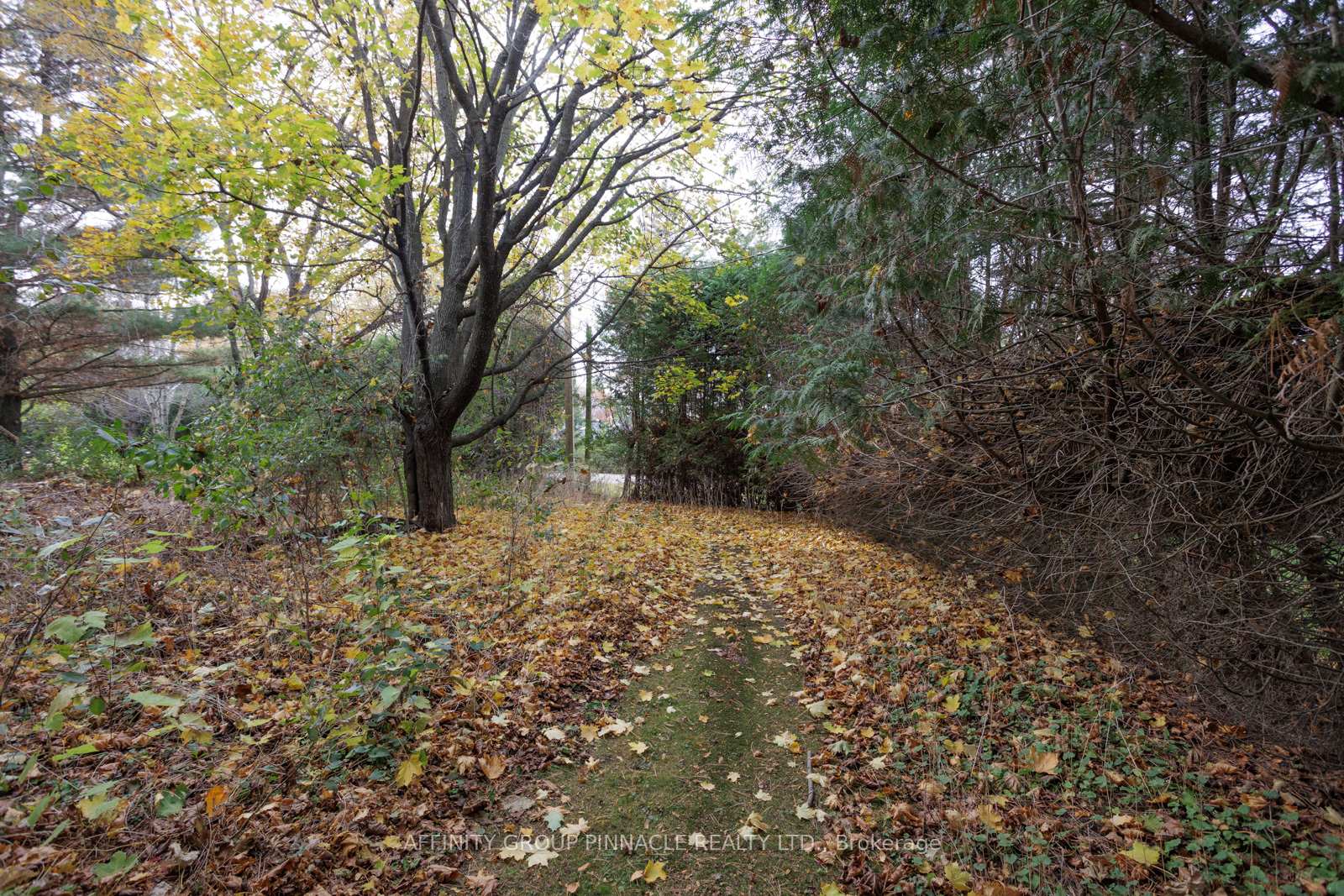 Photo 19 of 81 Cedar Beach Road, Brock, Beaverton — HOMEH