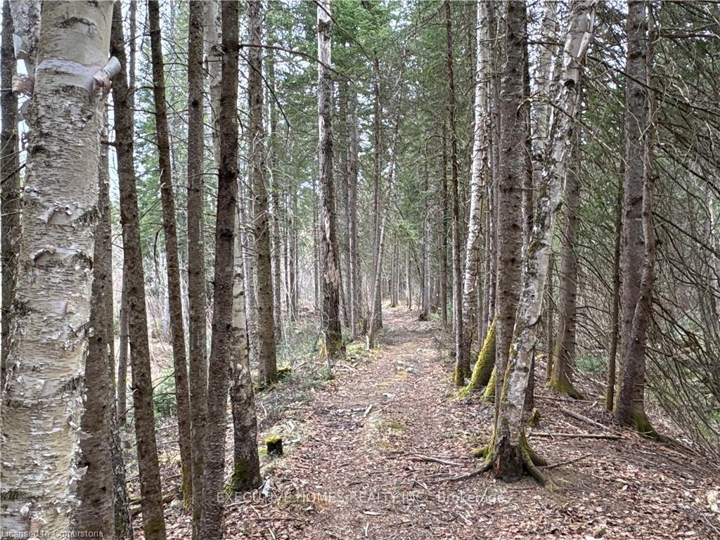 Photo of 1014 Bulrush Trail