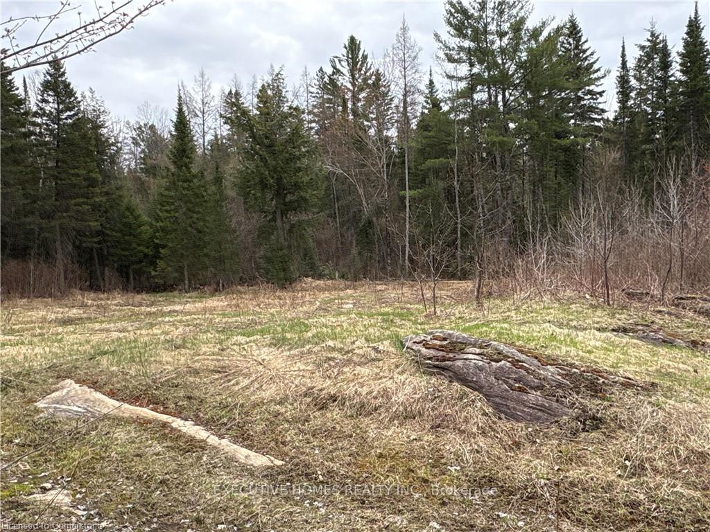 Photo 11 of 1014 Bulrush Trail, Highlands East, Glamorgan — HOMEH