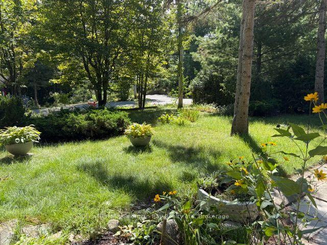 Photo 49 of 167 Tall Pines Drive NW, Tiny, Rural Tiny — HOMEH