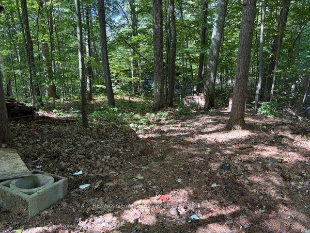 Photo 54 of 167 Tall Pines Drive NW, Tiny, Rural Tiny — HOMEH