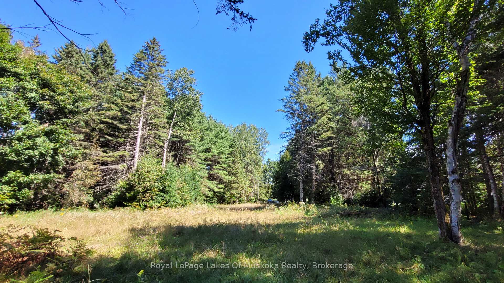 Photo 2 of 1059 Ablett Court, Algonquin Highlands, Stanhope — HOMEH