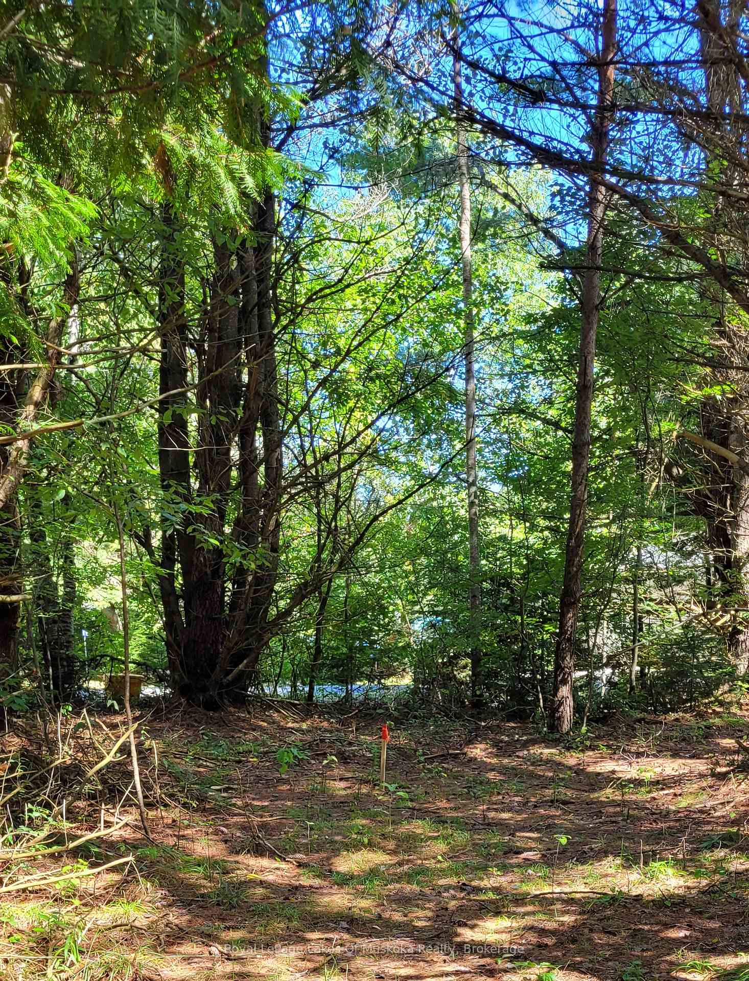 Photo 3 of 1059 Ablett Court, Algonquin Highlands, Stanhope — HOMEH