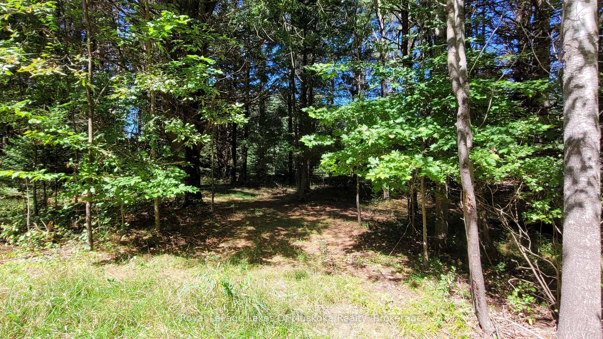 Photo 4 of 1059 Ablett Court, Algonquin Highlands, Stanhope — HOMEH