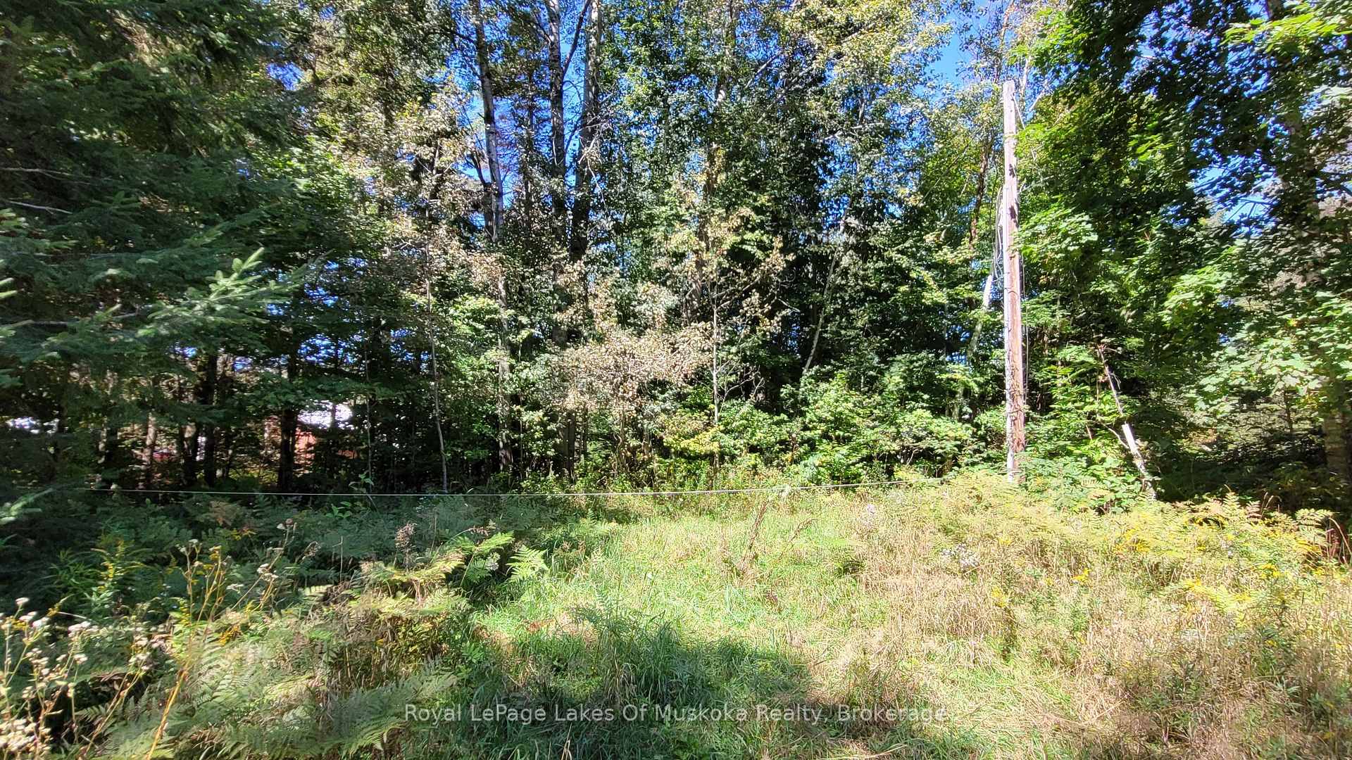 Photo 6 of 1059 Ablett Court, Algonquin Highlands, Stanhope — HOMEH