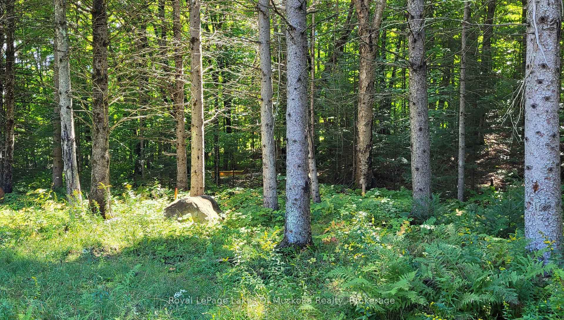 Photo 8 of 1059 Ablett Court, Algonquin Highlands, Stanhope — HOMEH
