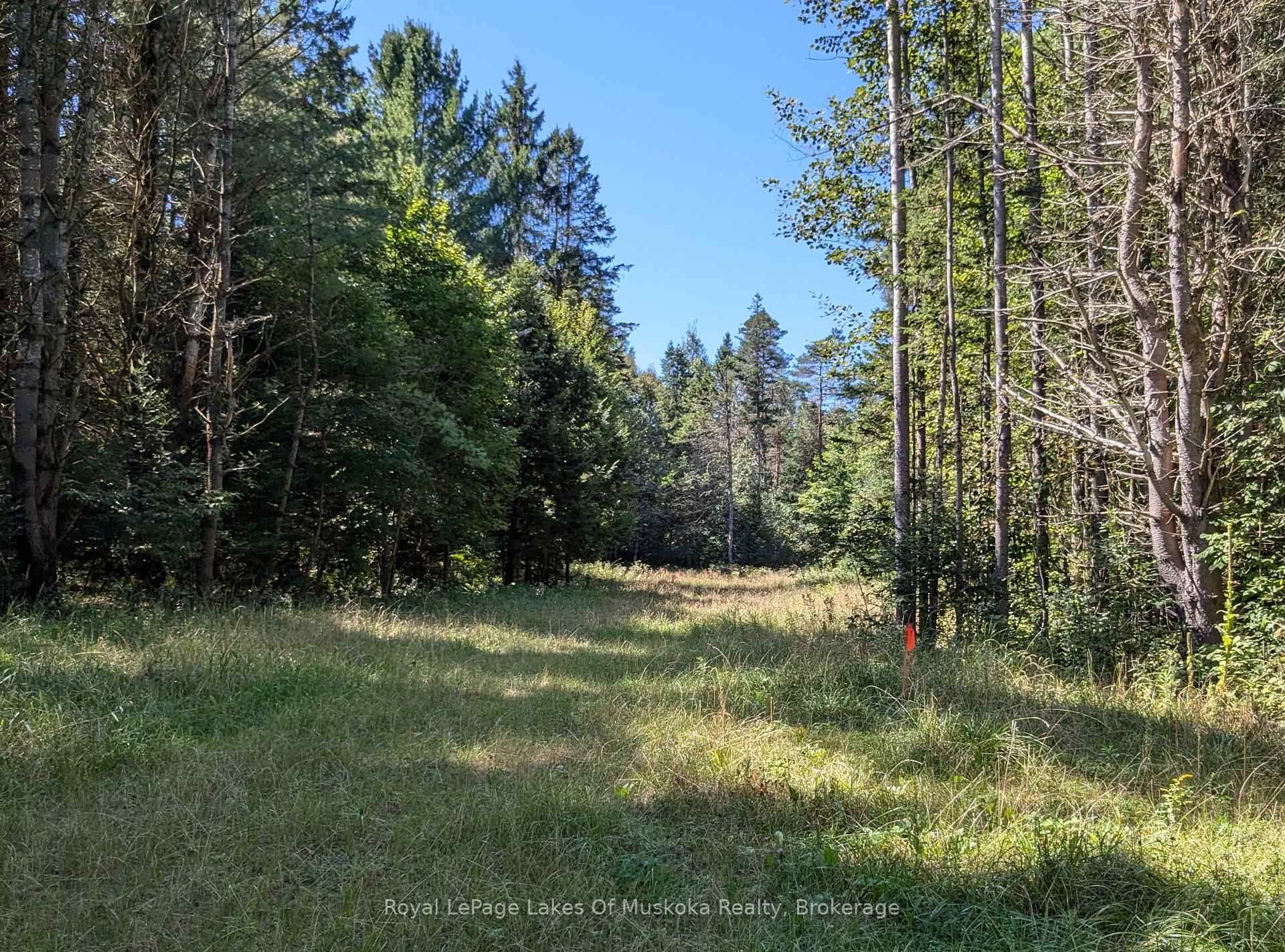 Photo 9 of 1059 Ablett Court, Algonquin Highlands, Stanhope — HOMEH