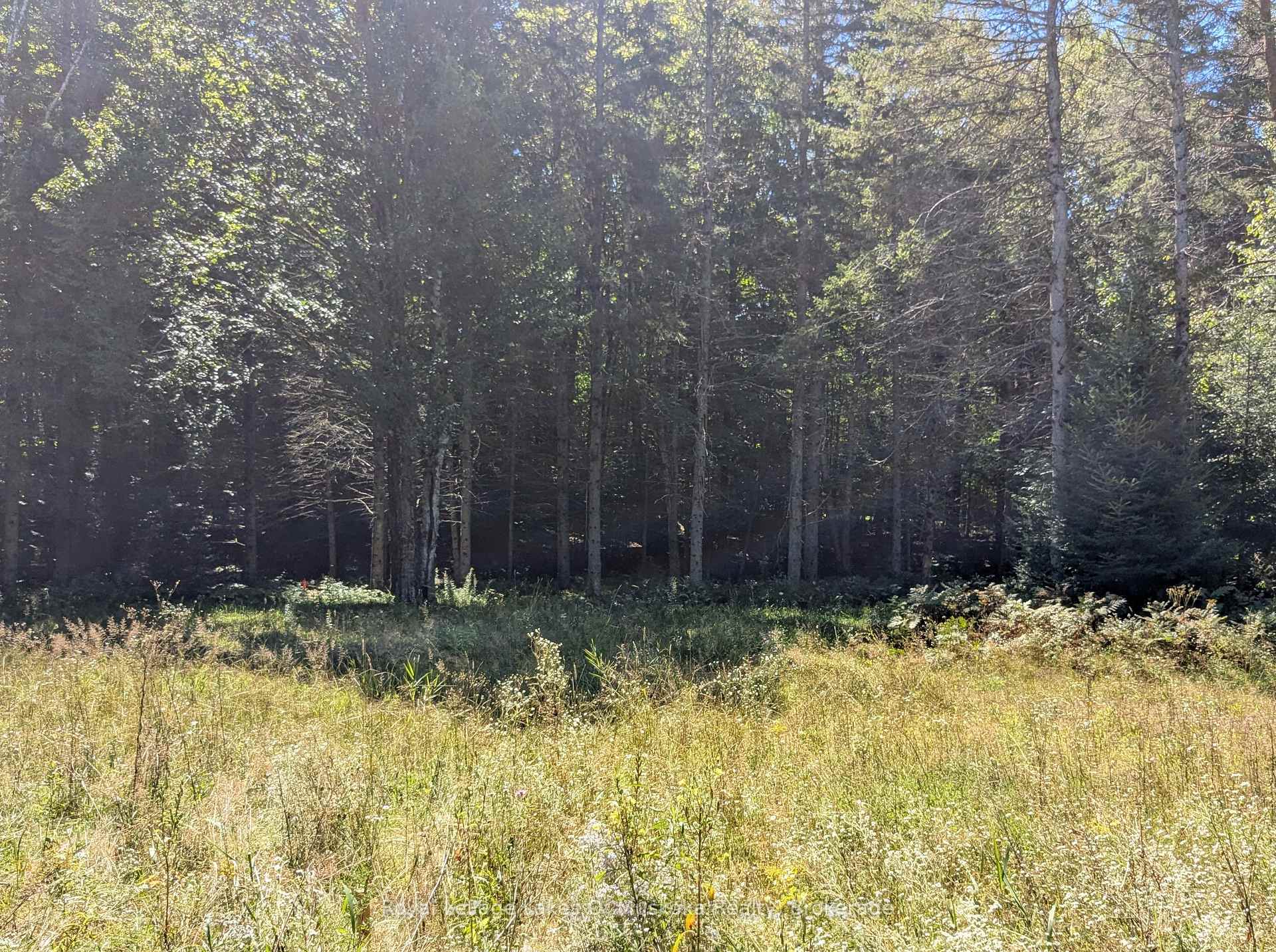 Photo 10 of 1059 Ablett Court, Algonquin Highlands, Stanhope — HOMEH