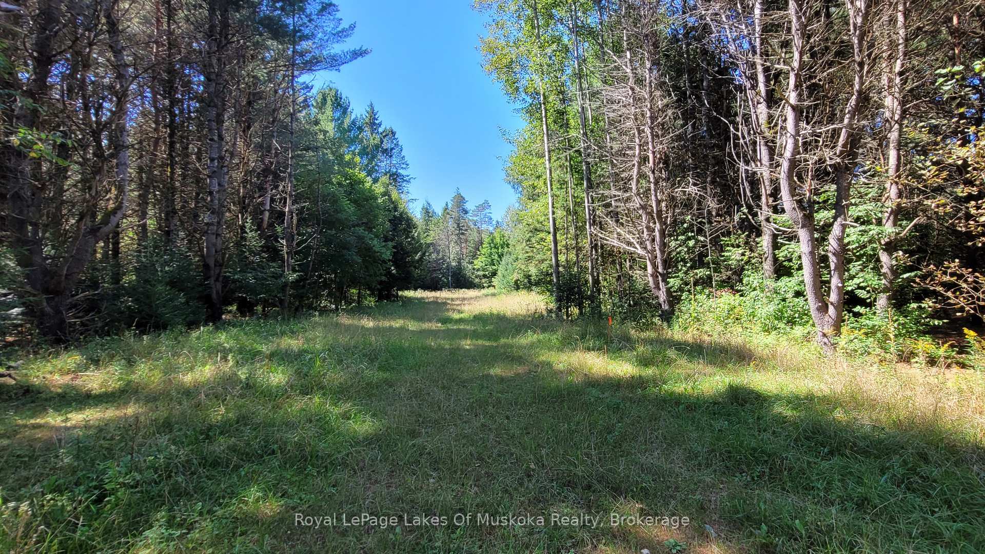 Photo 11 of 1059 Ablett Court, Algonquin Highlands, Stanhope — HOMEH
