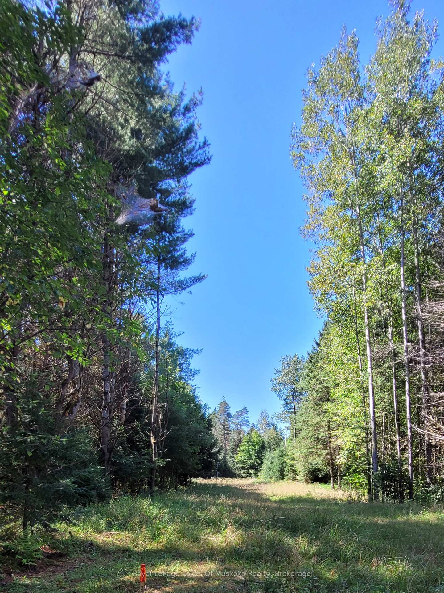 Photo 12 of 1059 Ablett Court, Algonquin Highlands, Stanhope — HOMEH