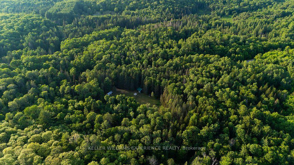 Photo 6 of 2101 Ahmic Lake Road, Magnetawan — HOMEH