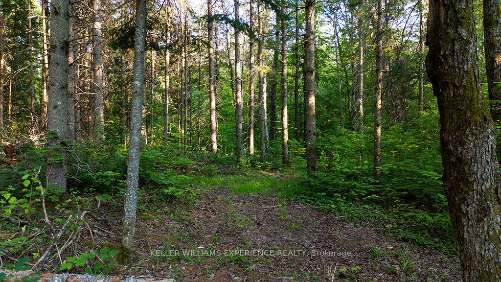 Photo 26 of 2101 Ahmic Lake Road, Magnetawan — HOMEH